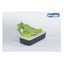 Loading Image 1 of 1