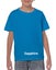 Kid's Heavy Cotton Youth T-Shirt, Custom T-Shirt printing, T-shirt printing Carousel 9