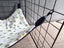 Hammock- small animal Carousel 5