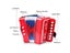 Accordion Strap Carousel 7