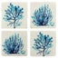 Sara Coral Resin Coasters Set/4 Carousel 1