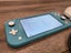 Nintendo Switch Lite with Case Carousel 2