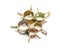 75/100/155PCS Car Truck Spring Clips Fuel Oil Water Hose Clip Pipe Tube Clamp Carousel 5