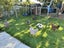 Pound Paws Rescue - Whetu - Heading pup (deaf) ChCh Carousel 4