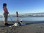 Pound Paws Rescue - Whetu - Heading pup (deaf) ChCh Carousel 8