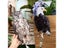 Wind Chimes Carousel 3