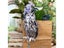 Wind Chimes Carousel 4