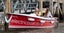 Electric Boating experience in Kerikeri - gift voucher holiday present activity Carousel 3