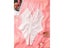 Tummy Slimmer Tummy Trimmer Carousel 7