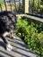 Basil - Chance 4 Change Carousel 3