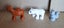 Duplo - Wild Animals x 3 Carousel 3