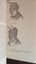 Rare NZ book Readings in Te Reo Maori Biggs Hohepa + Mead Carousel 8