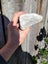 Marble 1kg - Nelson $1 RESERVE Carousel 5