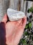 Marble 1kg - Nelson $1 RESERVE Carousel 4