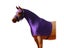 High Quality Horse Rugs Stretchable Lycra Hood Washable Fabric With Excellent Carousel 1