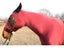 High Quality Horse Rugs Stretchable Lycra Hood Washable Fabric With Excellent Carousel 4