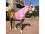 High Quality Horse Rugs Stretchable Lycra Hood Washable Fabric With Excellent Carousel 7