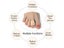 Fabric Toe Separator Finger Protector Applicator Corn Callus Remover Bunion Carousel 5