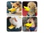 Duck Mouth Dog Muzzle Breathable Basket Muzzles Anti Bite Stop Barking Mouth Carousel 7