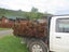 Loading Image 6 of 6