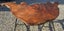 Beautiful piece of swamp Kauri Carousel 2