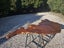 Beautiful piece of swamp Kauri Carousel 3