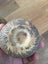 Very very old pottery pieces Carousel 6