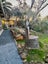 gallery view thumbnail