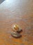 Mary Engelbreit Badges Carousel 4