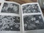 HANDBOOK TO THE ARTHURS PASS NATIONAL PARK 1978 Edition Carousel 13