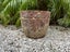 $1 Reserve-Glorious Atlantis Style Planter-35cms Carousel 1