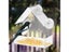 Acrylic Clear House Window Bird Feeder Birdhouse With Suction Outdoor Garden Carousel 1