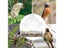 Acrylic Clear House Window Bird Feeder Birdhouse With Suction Outdoor Garden Carousel 3