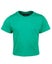 1TI JB's Infant Tee Carousel 12