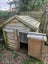 Dog house Carousel 2