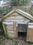 Dog house Carousel 7