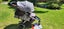 Phil & Ted dash stroller 2015 Carousel 1