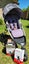 Phil & Ted dash stroller 2015 Carousel 2