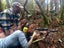 Guided fallow deer hunts Carousel 6