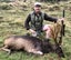 Guided fallow deer hunts Carousel 10