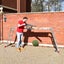 Aluminium Ladder 3.6M Carousel 5