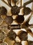 Vintage Trifari Maple Leaf Brooch with Faux Pearls – Collectible Gold-Tone Pin Carousel 3