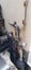 gallery view thumbnail