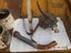gallery view thumbnail