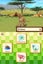 Animal Paradise: WILD (Nintendo DS) *EXCELLENT + COMPLETE* Carousel 5