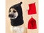New Dog Hat Winter Warm Pet Cap Solid Color Dog Hat Drawstring Adjustment Carousel 3