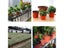20pcs/50pcs Plant Nursery Pot Seed Starting Pot Plastic Flower Plant Container Carousel 5