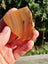 Banded Agate carving slab Carousel 7