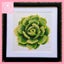 Succulent Cross-Stitch In Frame Carousel 1