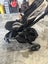 Edward & Co Oscar Pram Carousel 8